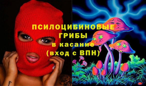 spice Алзамай