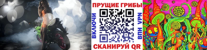 ОМГ ОМГ маркетплейс  купить закладку  Арзамас  Галлюциногенные грибы Psilocybine cubensis 