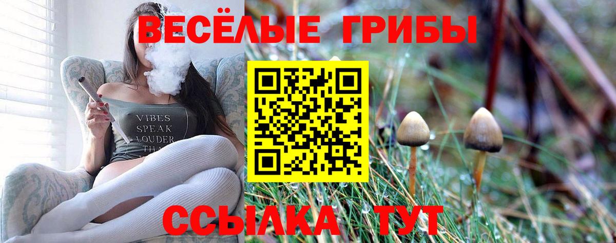 Арзамас  Галлюциногенные грибы Psilocybine cubensis  Вход с VPN 