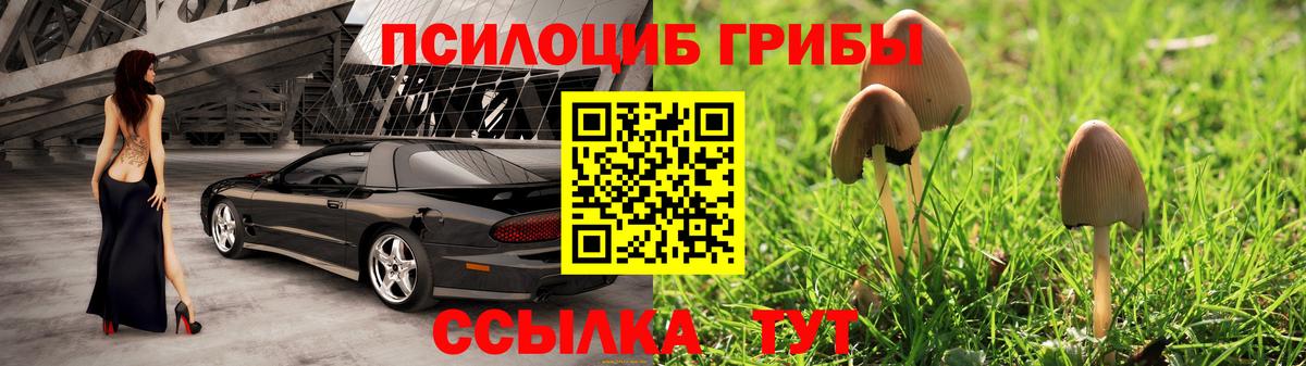 Псилоцибиновые грибы Cubensis Арзамас